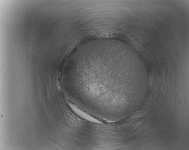 X0000058131202200510071956