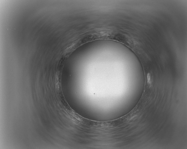 X0000058131203200510071956