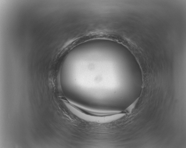 X0000058131206200510071956