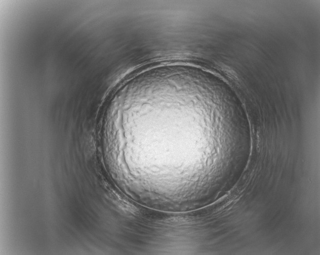 X0000058131212200510071956