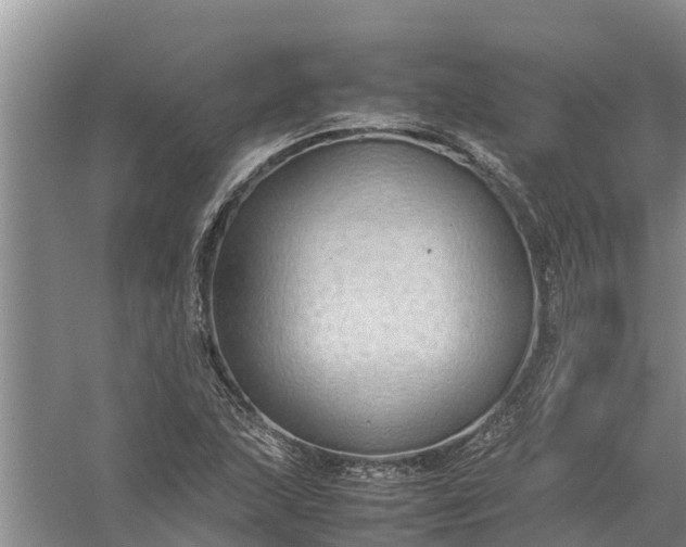 X0000058131215200510071956