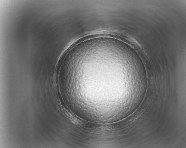 X0000058131216200510071956