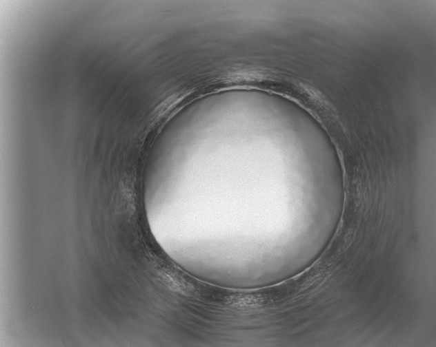 X0000058131217200510071956