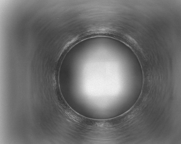 X0000058131218200510071956