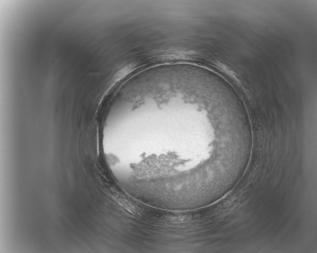 X0000058131219200510071956