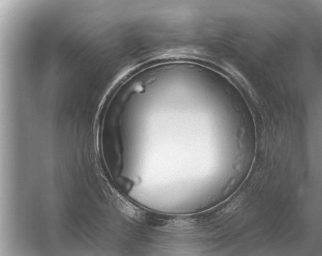 X0000058131224200510071957