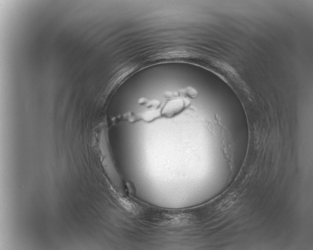 X0000058131225200510071957