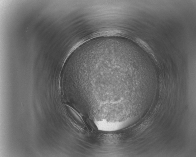 X0000058131226200510071957