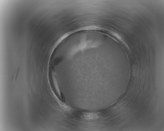 X0000058131229200510071957