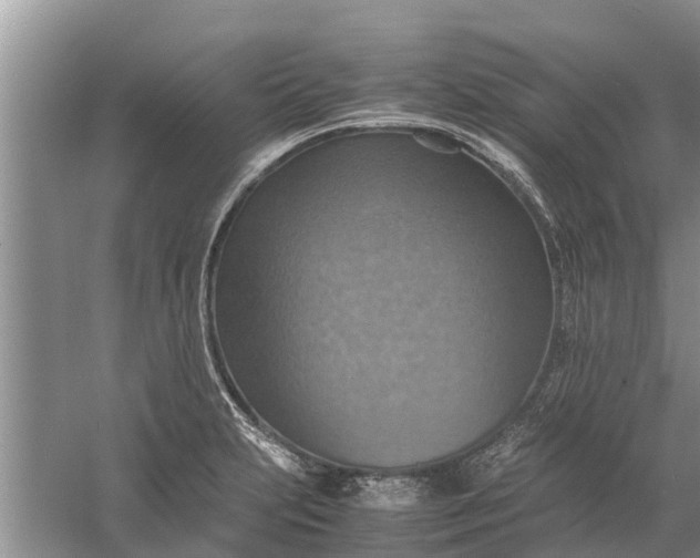 X0000058131231200510071957