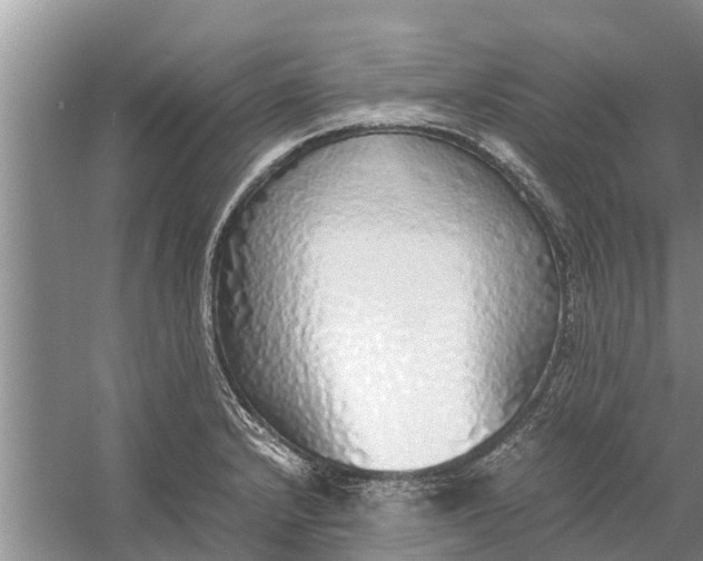 X0000058131232200510071957