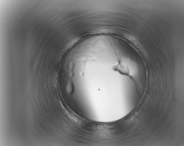 X0000058131233200510071957