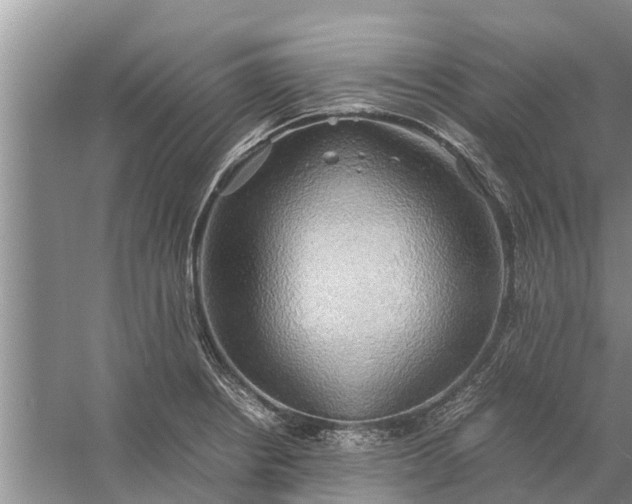 X0000058131234200510071957