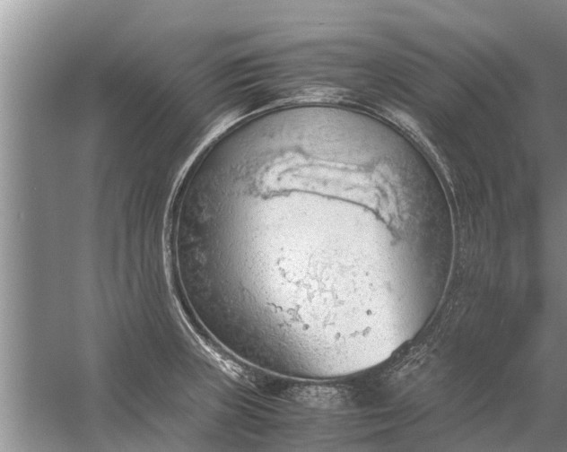 X0000058131235200510071957