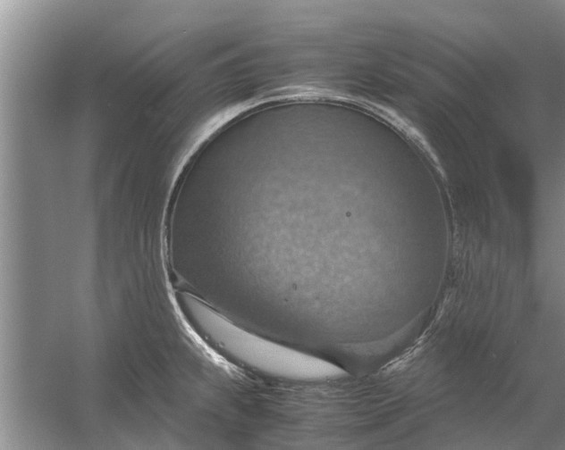 X0000058131239200510071957