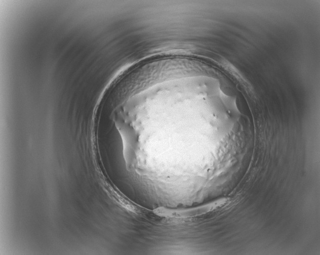 X0000058131240200510071957