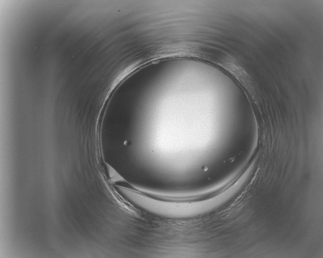 X0000058131242200510071957