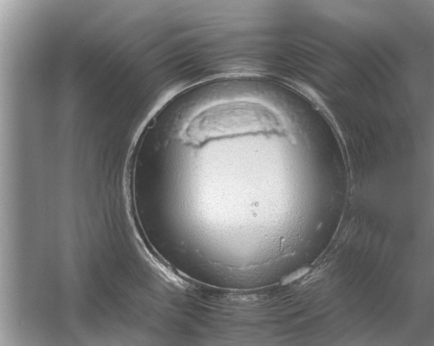 X0000058131243200510071957