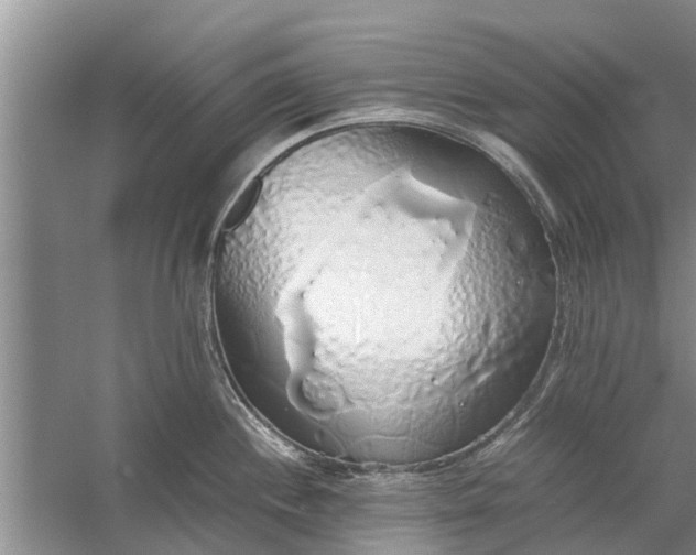 X0000058131244200510071957