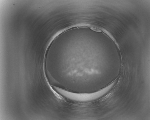 X0000058131245200510071957