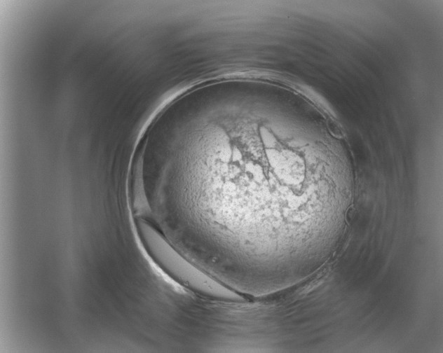 X0000058131247200510071957