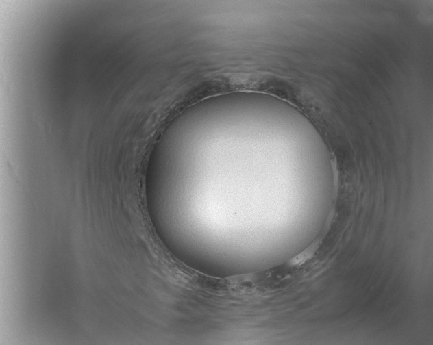 X0000058131249200510071956