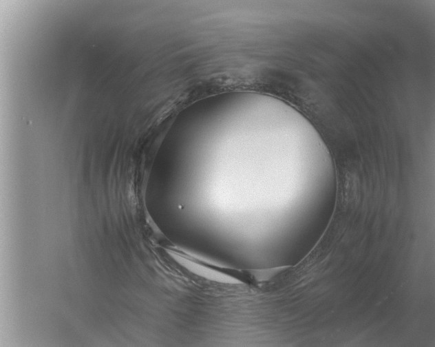 X0000058131250200510071956