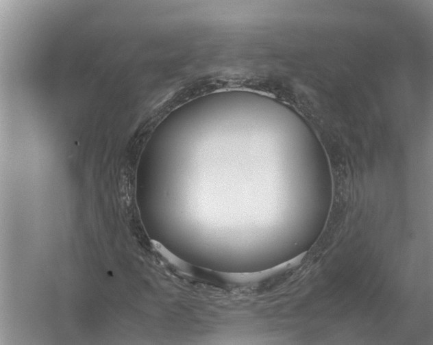 X0000058131253200510071956