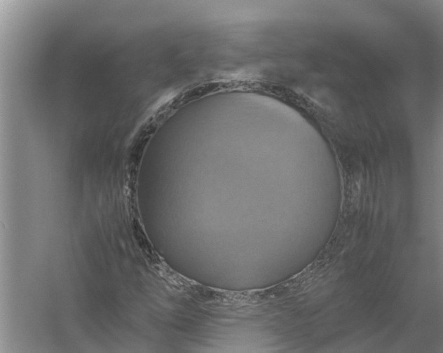 X0000058131254200510071956