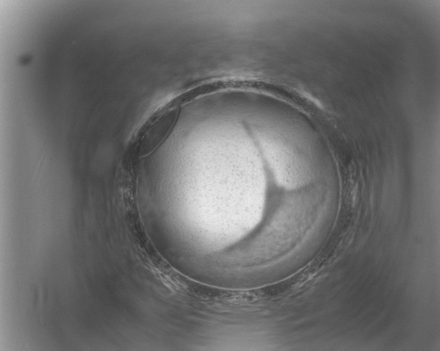 X0000058131255200510071956