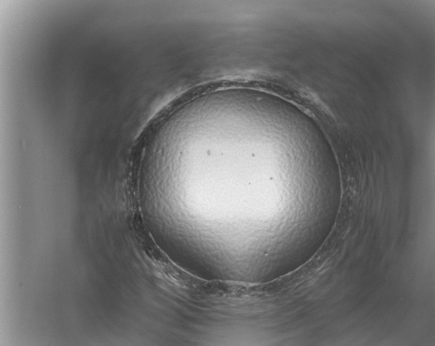 X0000058131256200510071956