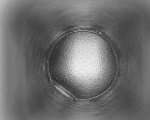 X0000058131257200510071956