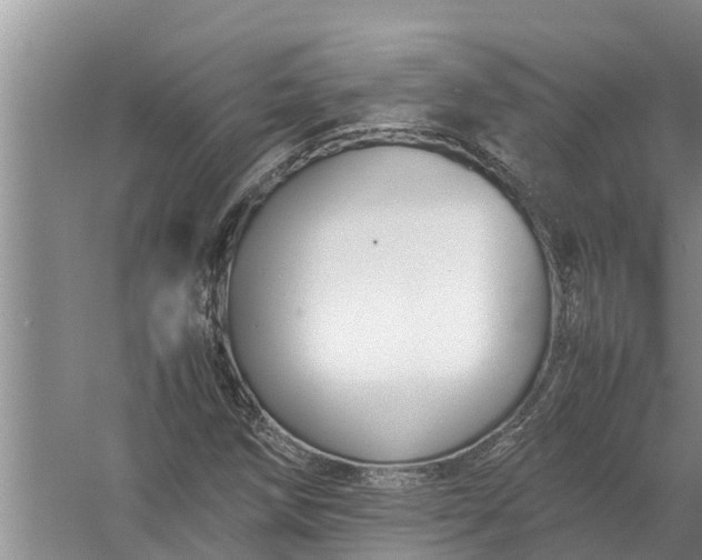 X0000058131258200510071956