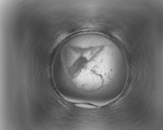 X0000058131259200510071956