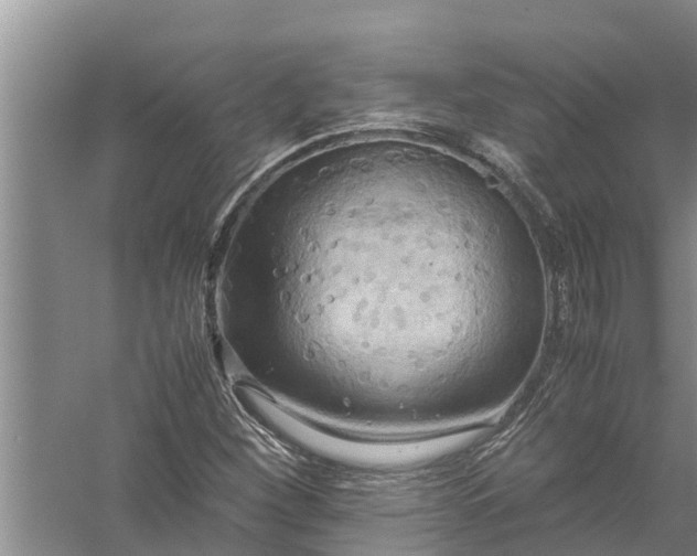 X0000058131260200510071956