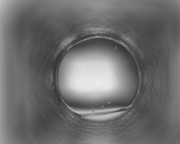 X0000058131261200510071956