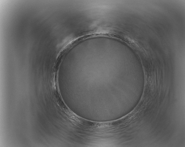 X0000058131262200510071956