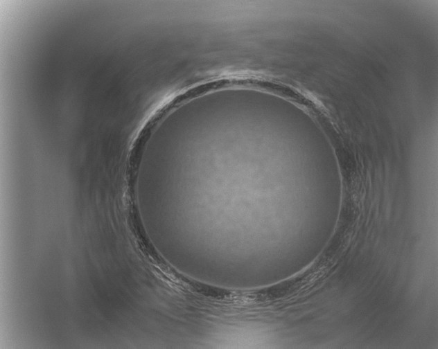 X0000058131263200510071956