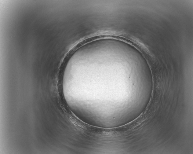 X0000058131264200510071956