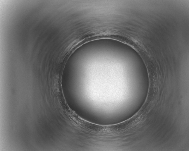 X0000058131265200510071956