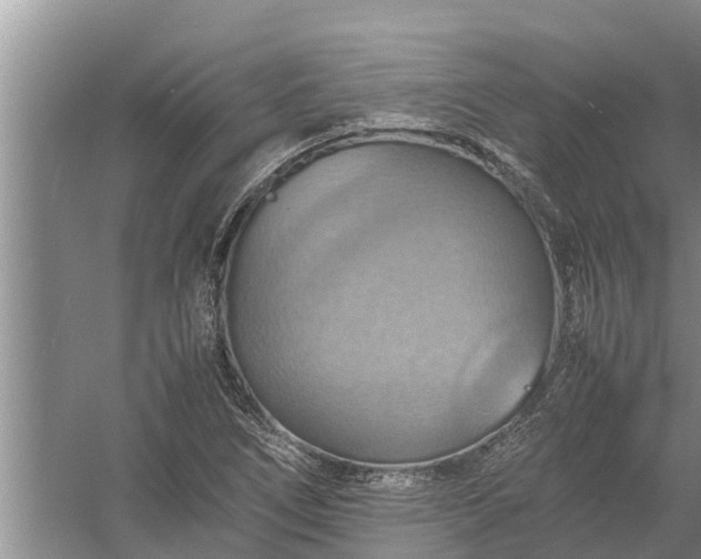 X0000058131266200510071956