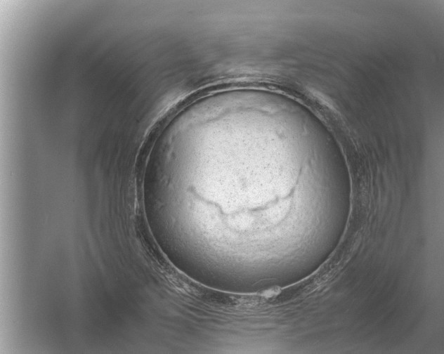 X0000058131267200510071956