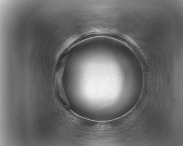 X0000058131269200510071956