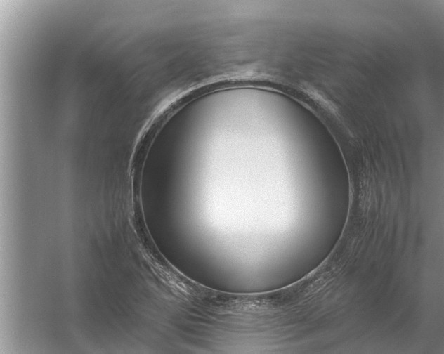 X0000058131270200510071956