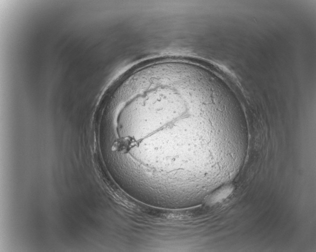 X0000058131271200510071956