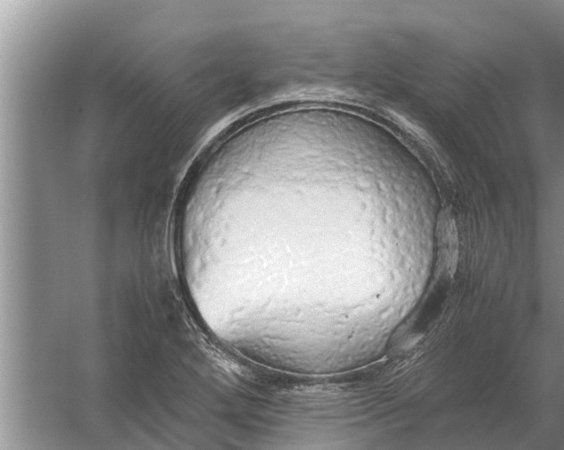 X0000058131272200510071956