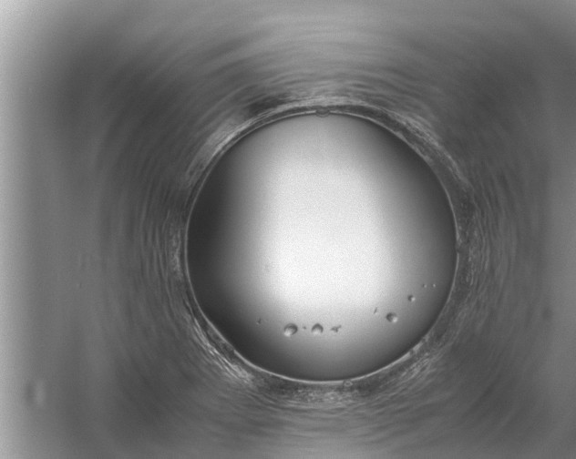 X0000058131273200510071956