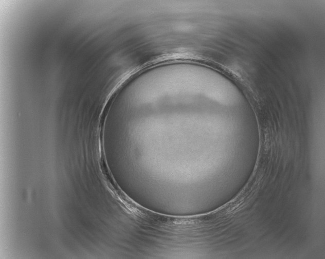 X0000058131274200510071956