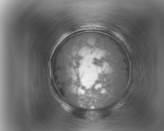 X0000058131275200510071956