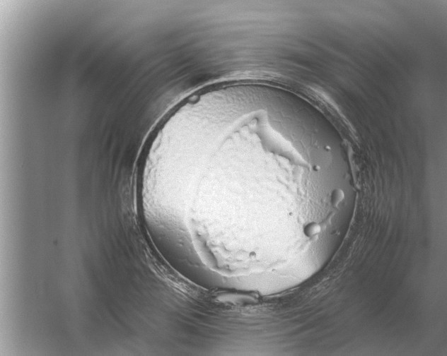 X0000058131276200510071956